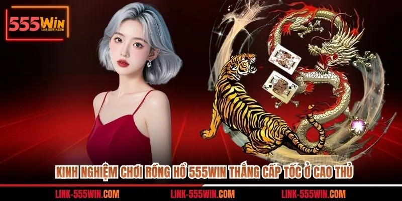 kinh nghiệm chơi rồng hổ 555win